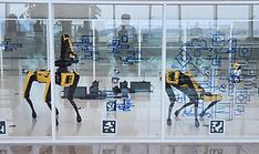 Newly enacted law sets basis for nat'l development of AI