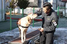 Quarantine agency boosts data system for protecting animals