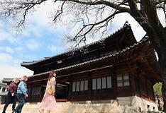 Seoul, Gyeonggi-do start travel insurance for foreign visitors